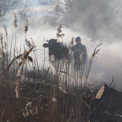 Animals in War w/The Eating of an Orange & Hurikán