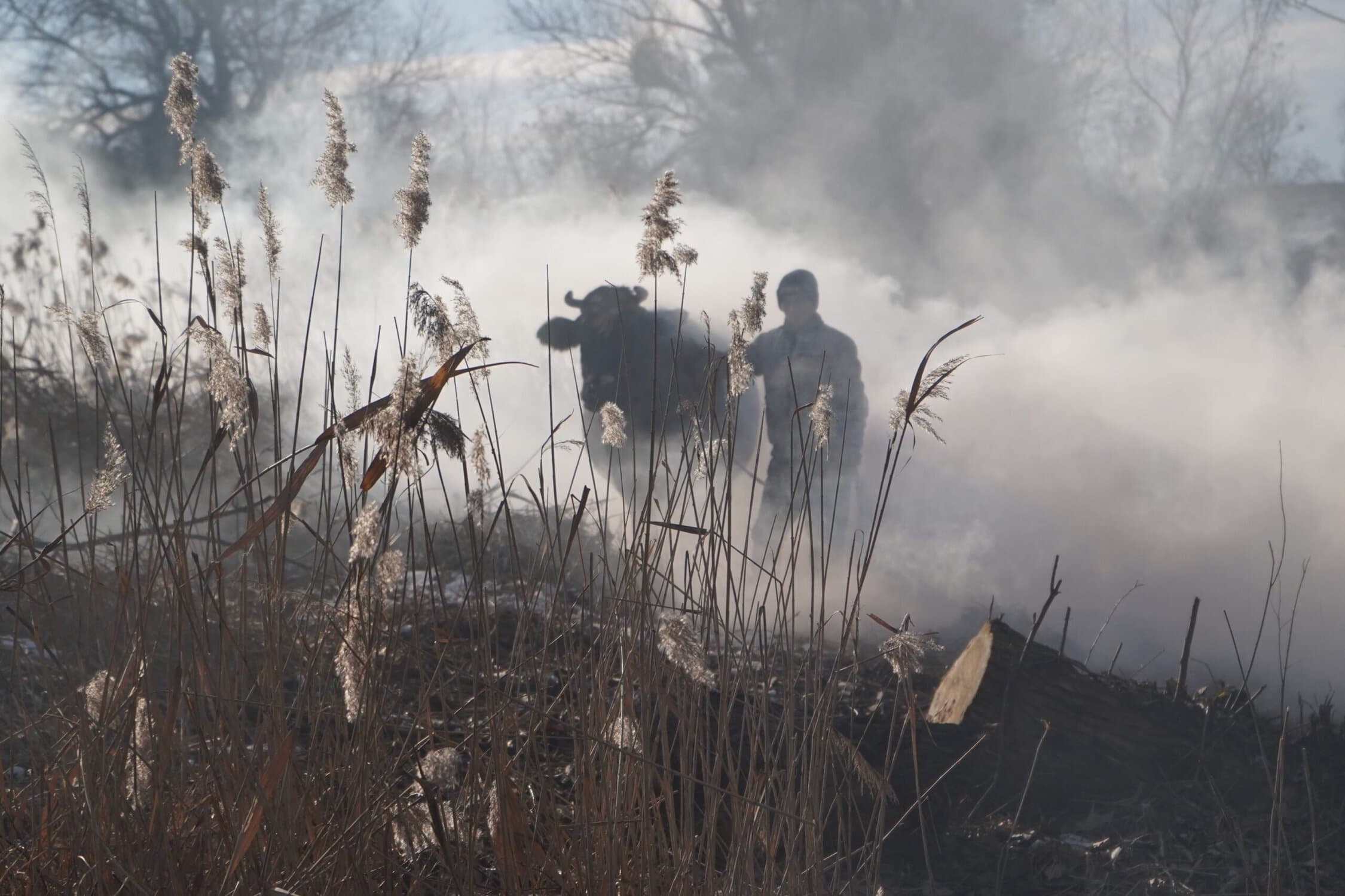 Animals in War w/The Eating of an Orange & Hurikán