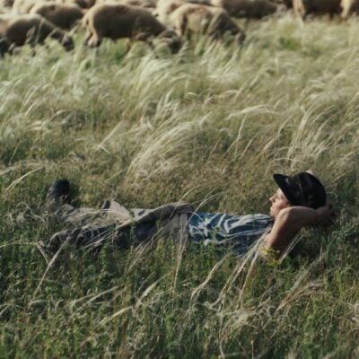 Shepherds w/Chien de Sang