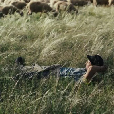 Shepherds w/Chien de Sang