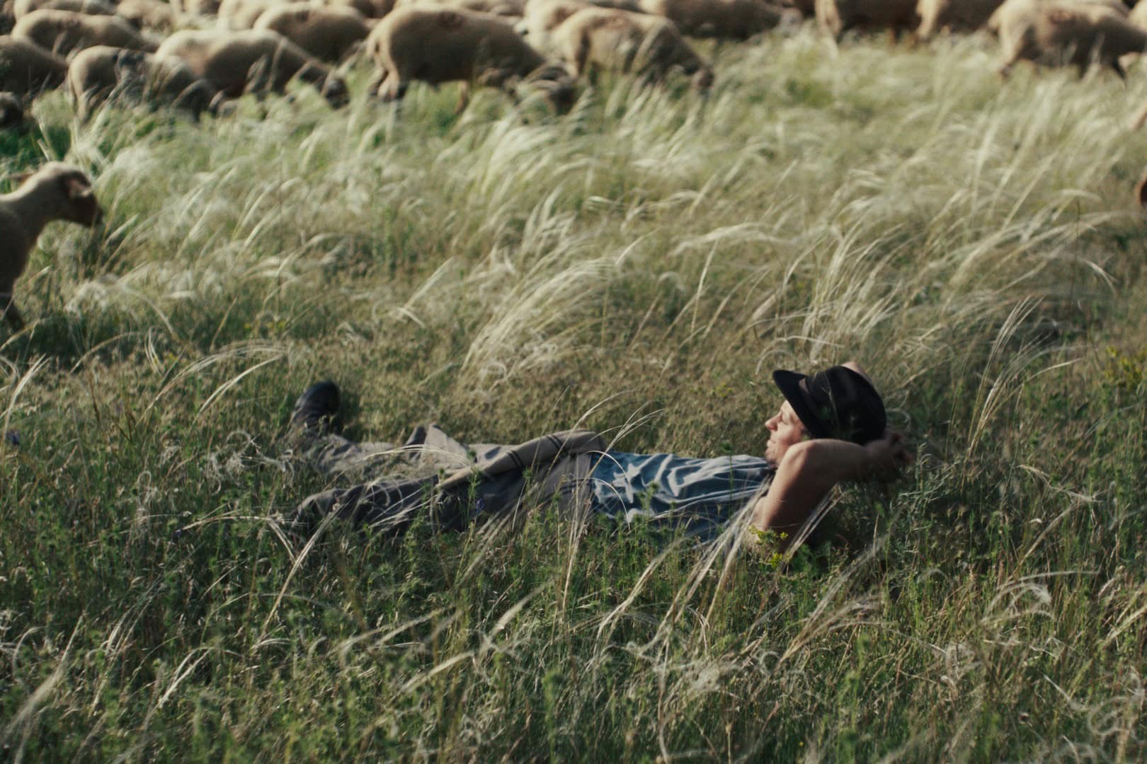 Shepherds w/Chien de Sang