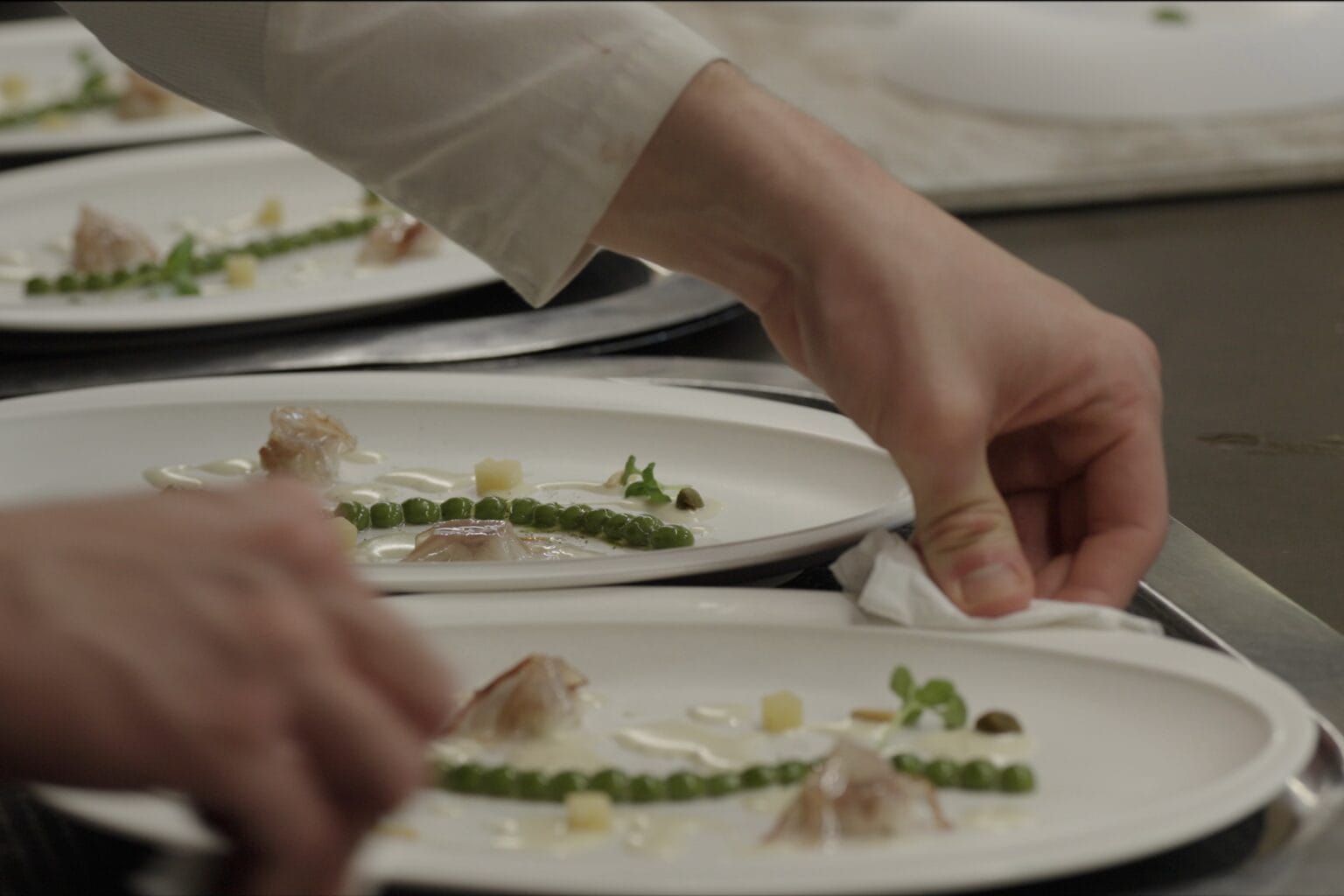 Blank Plate Creating the Best Restaurant in the World