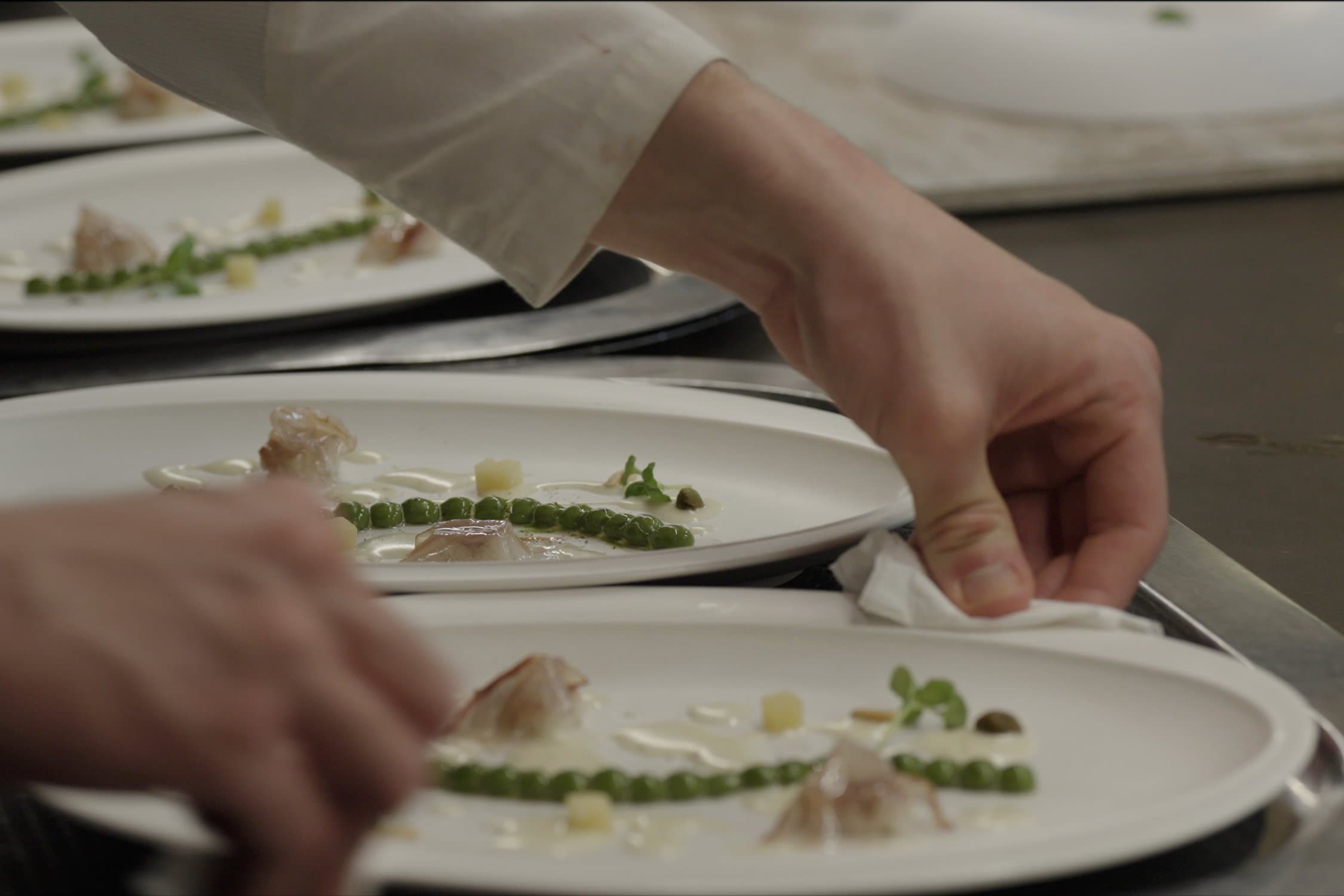 Blank Plate: Creating the Best Restaurant in the World w/ABCs of Oysters