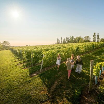 Luncheon at Le Caveau w/Elias Louie Deligianis & Renée Dechenes-O'Hagan