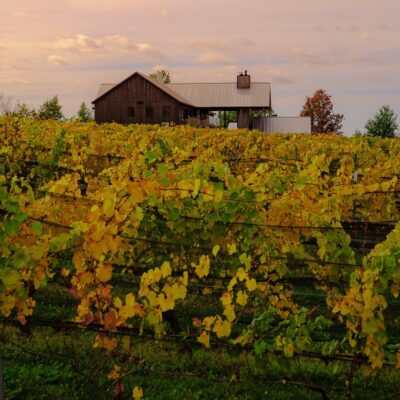 Luncheon at Lightfoot and Wolfville w/Emma Cardarelli & Chris Pyne
