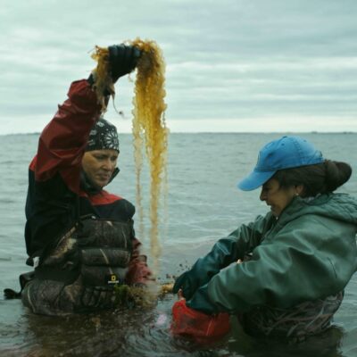The Big Picture Program: Seaweed Stories (Screening & Cooking Class)
