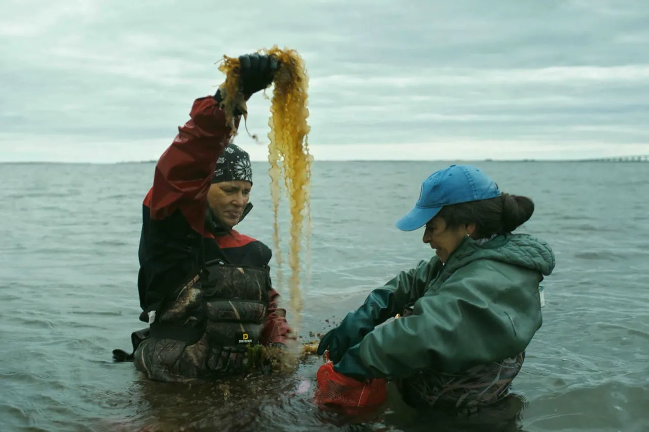 The Big Picture Program: Seaweed Stories (Screening & Cooking Class)