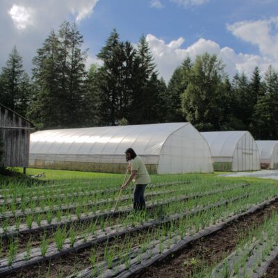 The Hands That Feed Us w/The Meadowlark's Call