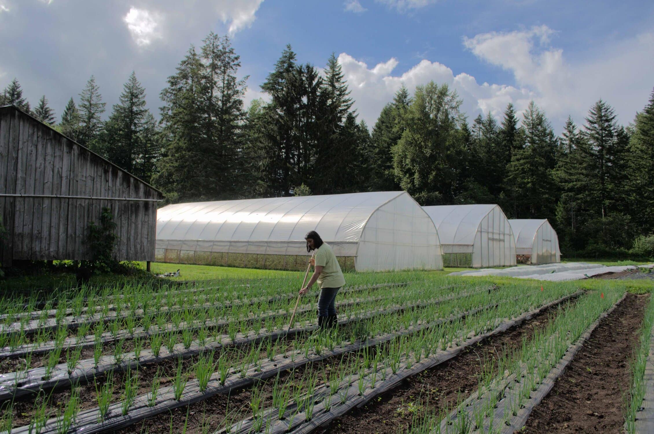 The Hands That Feed Us w/The Meadowlark's Call