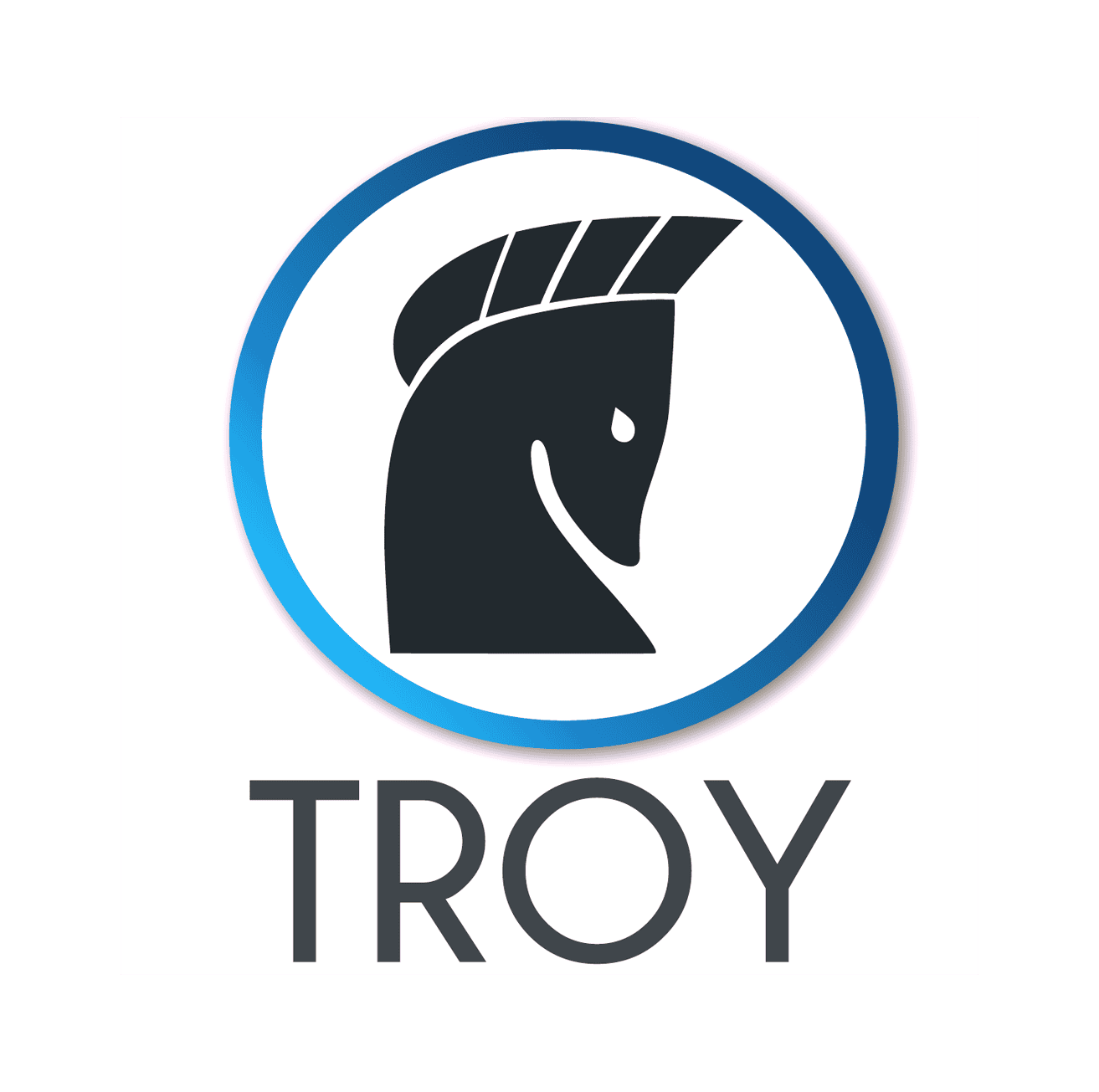 Troy