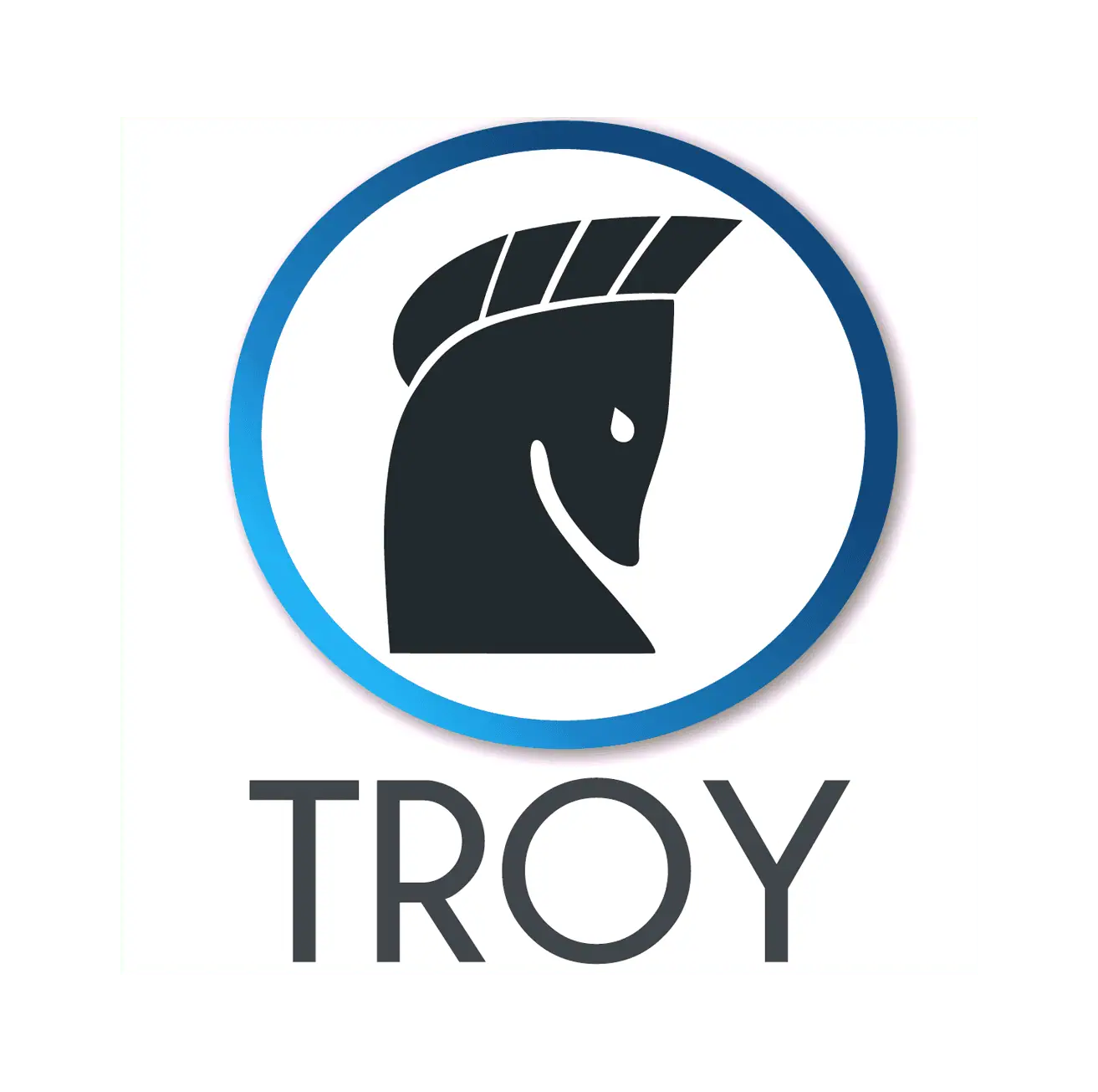 Troy