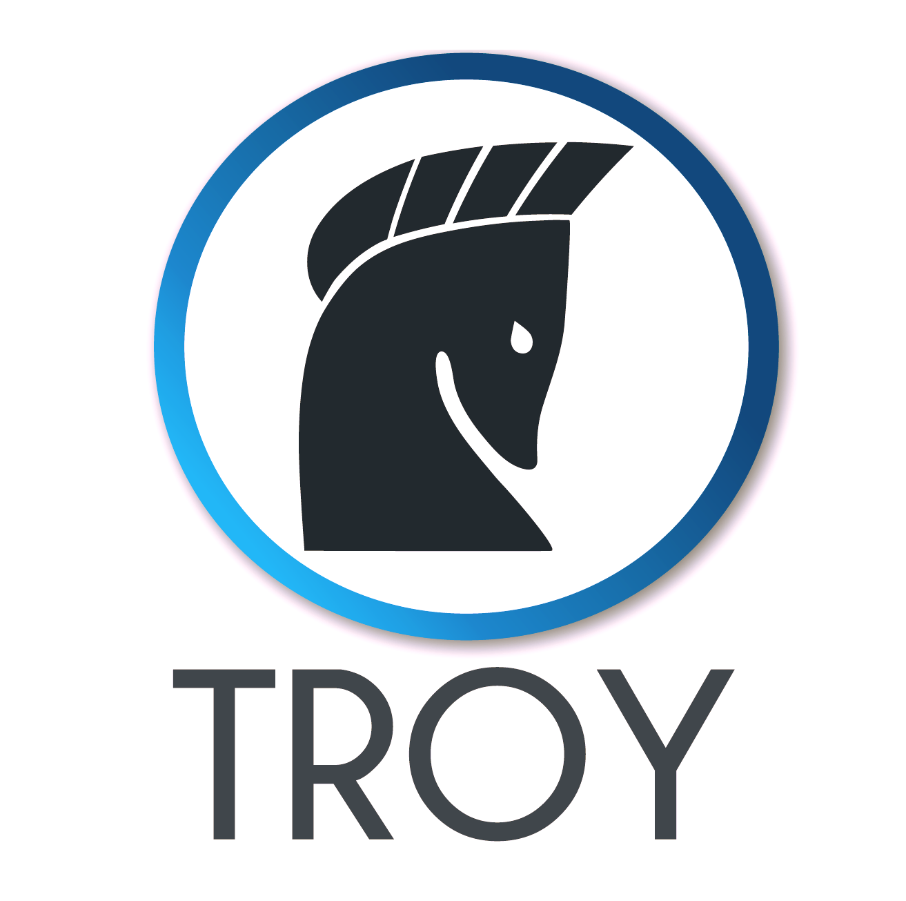 Troy