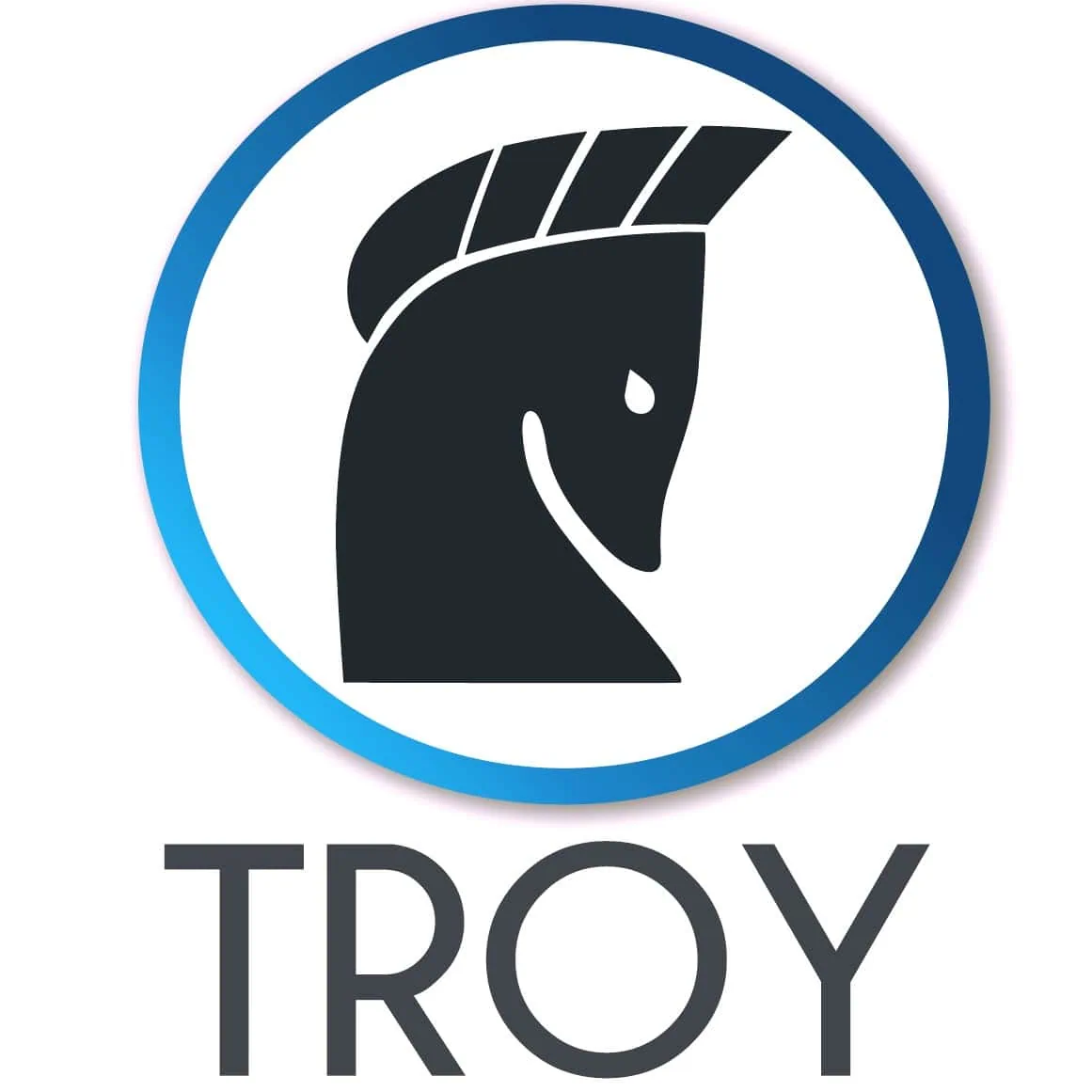 Troy