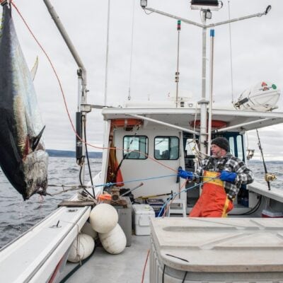 Spotlight Gala Film: Bite to Bite w/Fishing with Jack