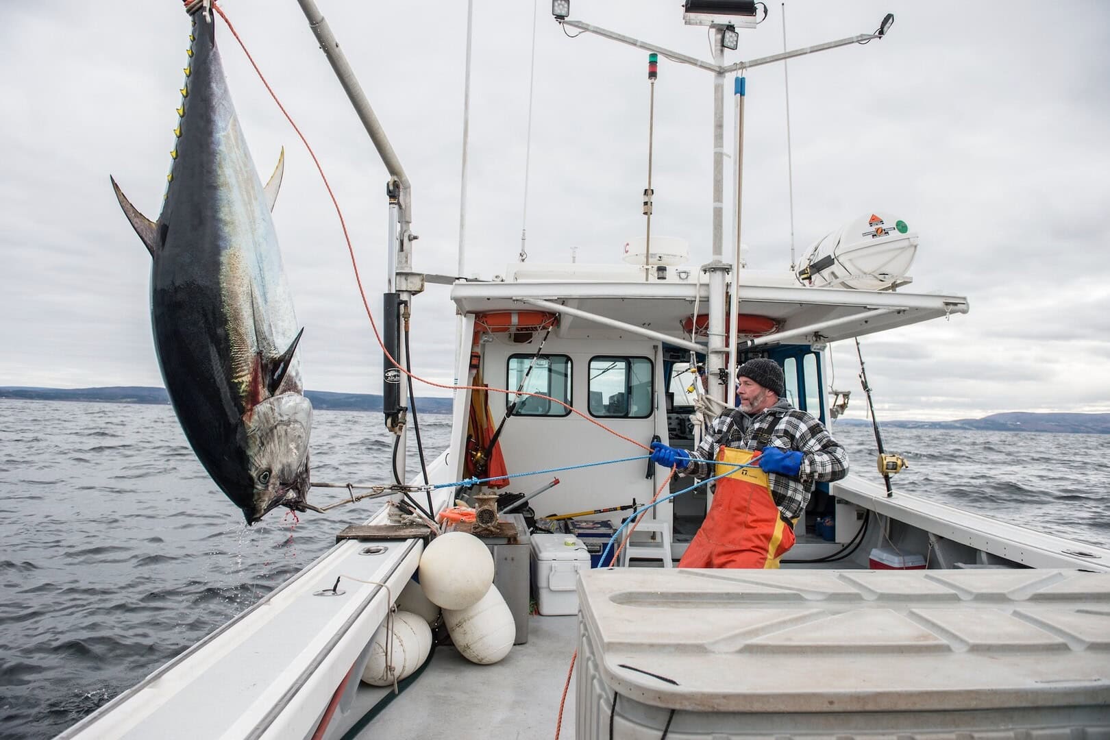 Spotlight Gala Film: Bite to Bite w/Fishing with Jack