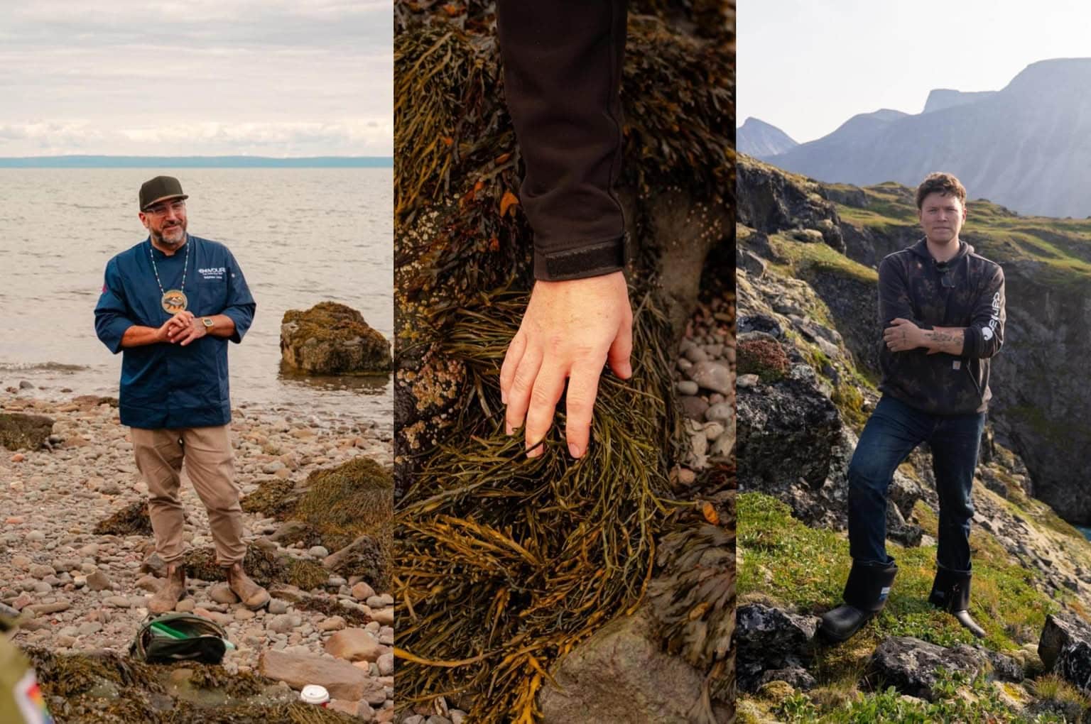 Foraging Workshop