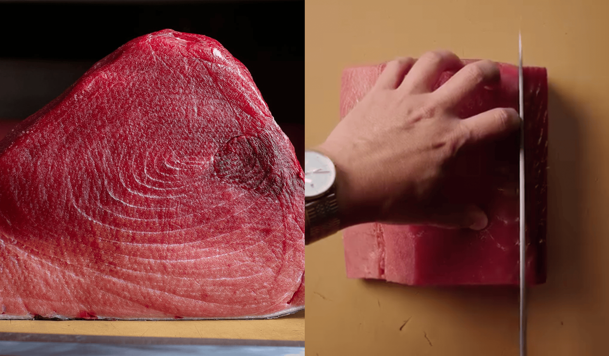 Tuna Demo.1